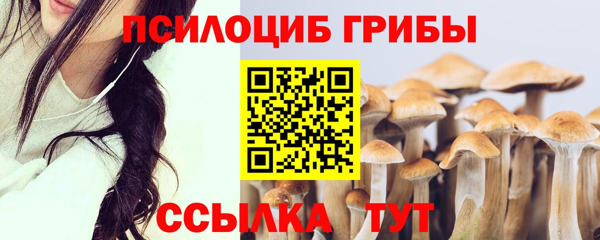 Псилоцибиновые грибы прущие грибы Кузнецк